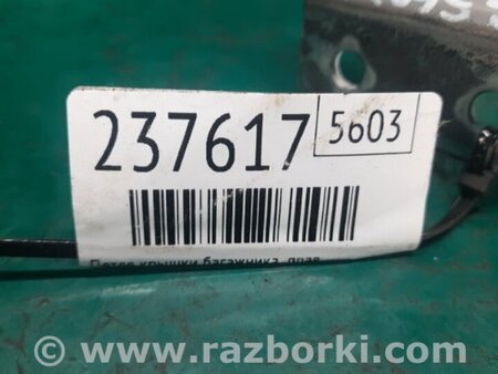 ФОТО Петля крышки багажника для Nissan Rogue (08-14) Киев