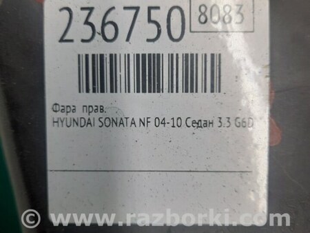 ФОТО Фара для Hyundai Sonata NF (09.2004-10.2010) Киев