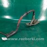 ФОТО Петля крышки багажника для Toyota Camry 40 XV40 (01.2006-07.2011) Киев
