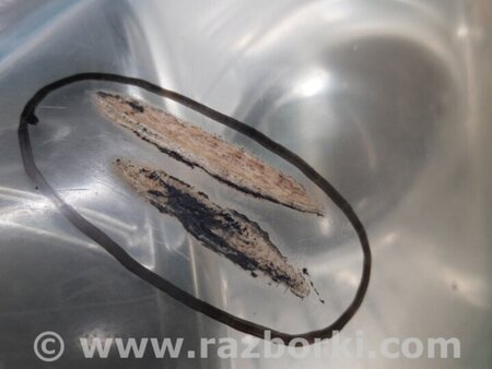 ФОТО Фара для Toyota Camry 40 XV40 (01.2006-07.2011) Киев