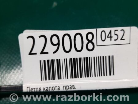 ФОТО Петля капота для Acura RL (1995-2012) Киев