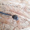 ФОТО Датчик ABS для Toyota Camry 40 XV40 (01.2006-07.2011) Киев