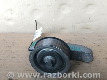 ФОТО Натяжитель ремня приводного для Acura TSX CU2 (03.2008-05.2014) Киев