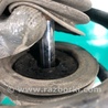 ФОТО Амортизатор для Infiniti M25/M37/M56/Q70/M35H Киев