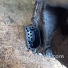 ФОТО Дроссельная заслонка для KIA Sorento XM Киев