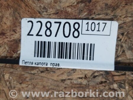 ФОТО Петля капота для Subaru Outback BR Киев