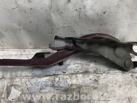 ФОТО Петля капота для Scion tC (2005-2010) Киев