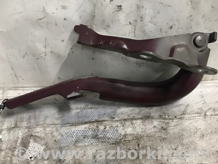ФОТО Петля капота для Scion tC (2005-2010) Киев