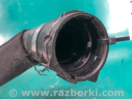 ФОТО Патрубок системы охлаждения для Audi (Ауди) Q5 8R (04.2008-03.2017) Киев