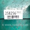 ФОТО Натяжитель ремня приводного для Volkswagen Jetta USA (10-17) Киев