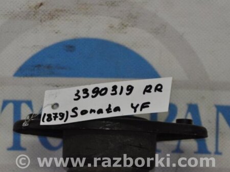 ФОТО Амортизатор для Hyundai Sonata YF (09.2009-03.2014) Киев