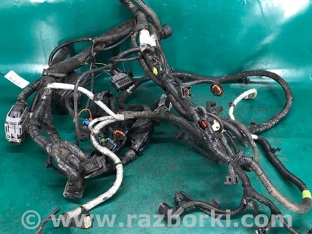 ФОТО Проводка моторного отсека для Chevrolet Volt (11.2010-06.2015) Киев