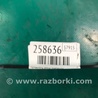 ФОТО Натяжитель ремня приводного для Volkswagen Passat B7 (09.2010-06.2015) Киев