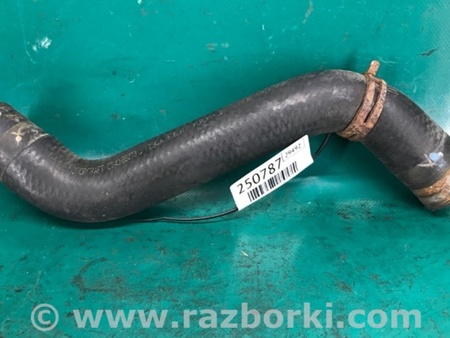 ФОТО Патрубок системы охлаждения для Ford Edge 1 U387 (01.2006-04.2015) Киев
