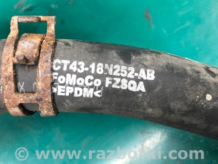 ФОТО Патрубок системы охлаждения для Ford Edge 1 U387 (01.2006-04.2015) Киев