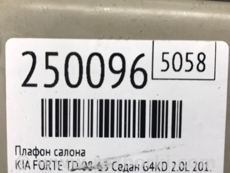 ФОТО Плафон освещения основной для KIA Forte TD (08-13) Киев