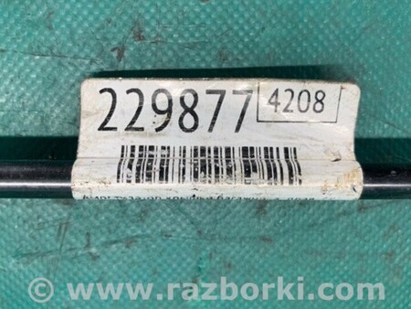 ФОТО Амортизатор крышки багажника для Ford Focus 3 (01.2010 - 03.2018) Киев