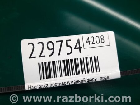 ФОТО Накладка противотуманной фары для Ford Focus 3 (01.2010 - 03.2018) Киев