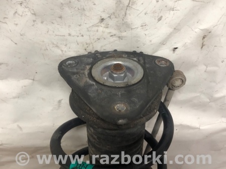 ФОТО Амортизатор для Ford Focus 3 (01.2010 - 03.2018) Киев