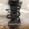 ФОТО Амортизатор для Ford Focus 3 (01.2010 - 03.2018) Киев