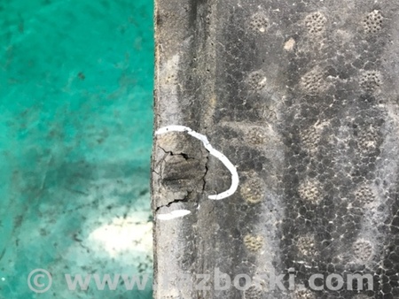 ФОТО Наполнитель бампера задний для Toyota Camry 50 XV50 (08.2011-11.2014) Киев
