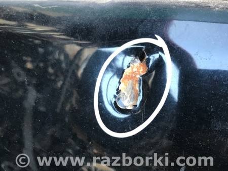 ФОТО Дверь для Dodge Avenger (07-14) Киев