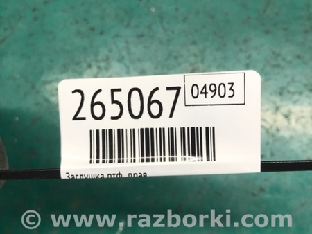 ФОТО Заглушка ПТФ для Nissan Rogue (08-14) Киев