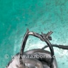 ФОТО Датчик ABS для Nissan Rogue (08-14) Киев