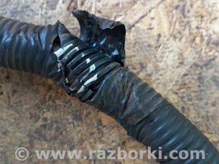 ФОТО Проводка моторного отсека для Ford Fusion USA 2 поколение (12-15) Киев
