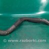 ФОТО Патрубок системы охлаждения для Hyundai Sonata YF (09.2009-03.2014) Киев