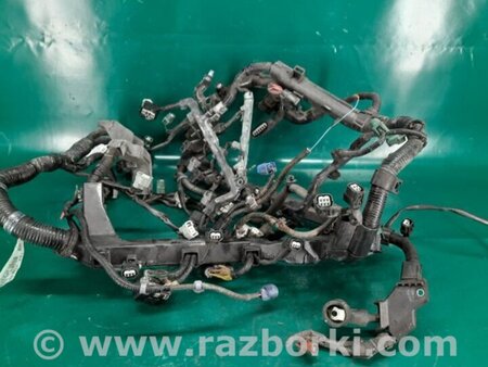 ФОТО Проводка моторного отсека для Acura RDX TB3, TB4 (03.2012-12.2015) Киев