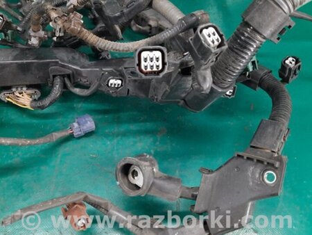 ФОТО Проводка моторного отсека для Acura RDX TB3, TB4 (03.2012-12.2015) Киев