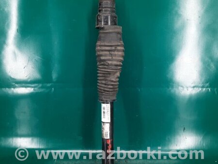 ФОТО Амортизатор для Acura RDX TB3, TB4 (03.2012-12.2015) Киев