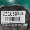ФОТО Подкрылок для Ford Focus 3 (01.2010 - 03.2018) Киев