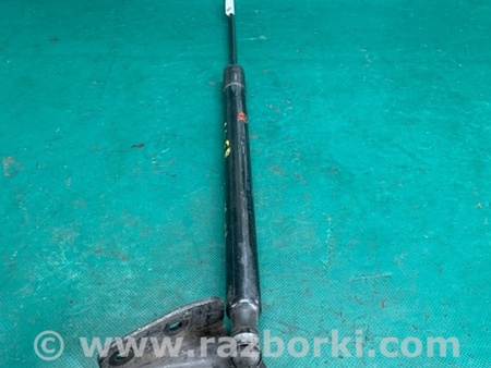 ФОТО Амортизатор крышки багажника для Ford Focus 3 (01.2010 - 03.2018) Киев