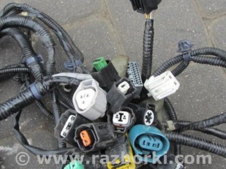 ФОТО Проводка моторного отсека для Acura RDX TB3, TB4 (03.2012-12.2015) Киев