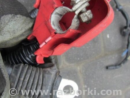ФОТО Проводка моторного отсека для Acura RDX TB3, TB4 (03.2012-12.2015) Киев