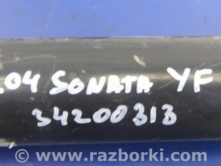 ФОТО Амортизатор для Hyundai Sonata YF (09.2009-03.2014) Киев