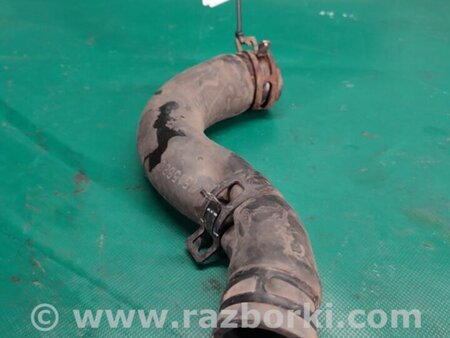 ФОТО Патрубок системы охлаждения для Hyundai Elantra MD (04.2010-05.2016) Киев