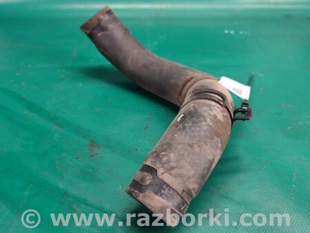 ФОТО Патрубок системы охлаждения для Hyundai Elantra MD (04.2010-05.2016) Киев