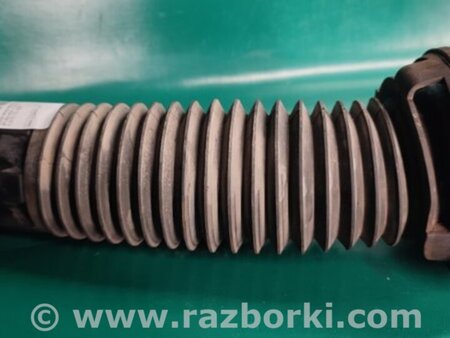 ФОТО Опора амортизатора для Acura MDX YD3 (06.2013-05.2020) Киев