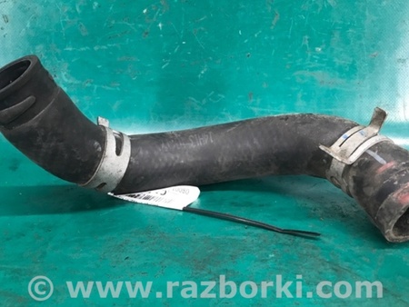 ФОТО Патрубок системы охлаждения для Hyundai Elantra MD (04.2010-05.2016) Киев
