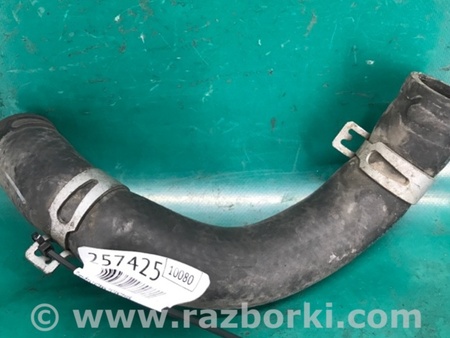 ФОТО Патрубок системы охлаждения для Hyundai Elantra MD (04.2010-05.2016) Киев