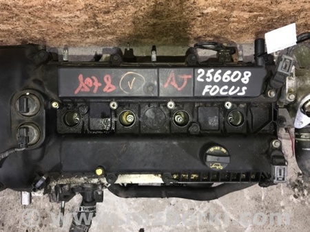 ФОТО Двигатель бензиновый для Ford Focus 3 (01.2010 - 03.2018) Киев