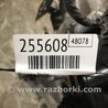 ФОТО Двигатель бензиновый для Ford Focus 3 (01.2010 - 03.2018) Киев