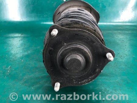 ФОТО Амортизатор для Acura RDX TB3, TB4 (03.2012-12.2015) Киев