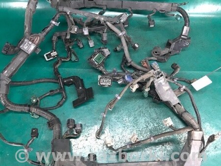 ФОТО Проводка моторного отсека для Acura RDX TB3, TB4 (03.2012-12.2015) Киев