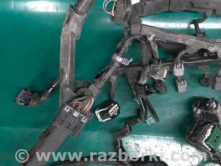 ФОТО Проводка моторного отсека для Acura RDX TB3, TB4 (03.2012-12.2015) Киев