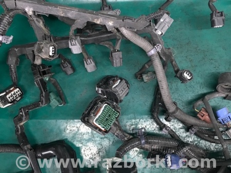 ФОТО Проводка моторного отсека для Acura RDX TB3, TB4 (03.2012-12.2015) Киев