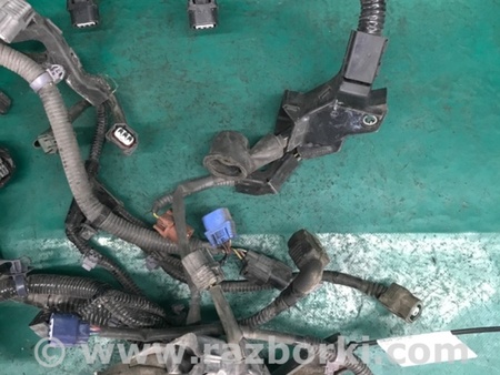 ФОТО Проводка моторного отсека для Acura RDX TB3, TB4 (03.2012-12.2015) Киев